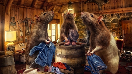 Three Blind Mice - cute, rodent, mice, jeans