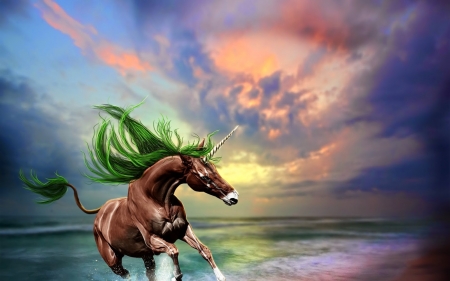 Horse - beach, sky, horse, animal