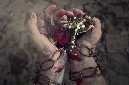 Goth Rose - chains, goth, hands, rose