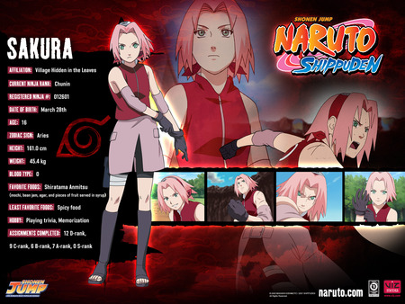 Sakura - 2, 3, 5, 6