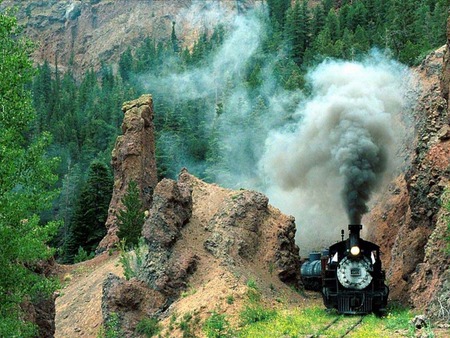 an old train - nature, trains