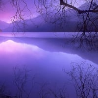 Purple lake