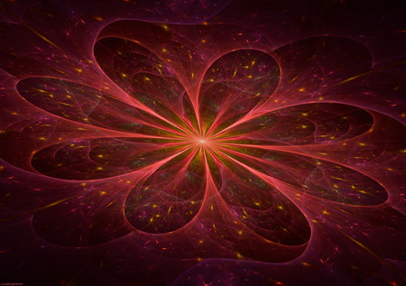 Red flower - flowers, fractal