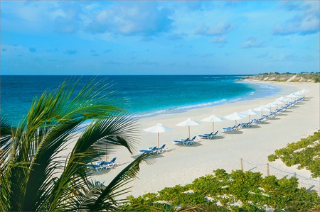 Sandy Beach - relax, sandy, nature, tropical, beach, palm trees, ocean