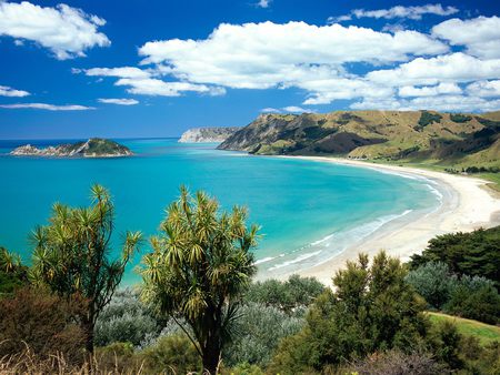 Anaura Bay - trees, coastline, nature, coast, blue, landscape, ocean