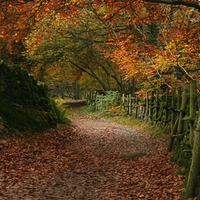 Autumn in Grasmere.