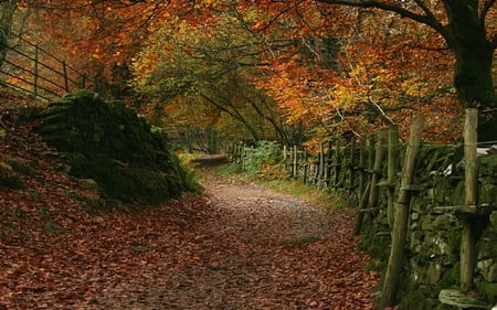 Autumn in Grasmere. - leaves, fence, autumn, grasmere