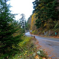 Chuckanut Drive in the Fall