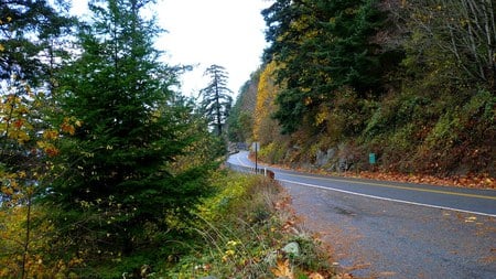 Chuckanut Drive in the Fall - widescreen, fall, trees, autumn, road, washington, leaves