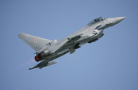 TYPHOON - typhoon, euro, jet, wings, fighter, military