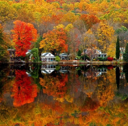 Reflections-1 - reflections, water, autumn, scene