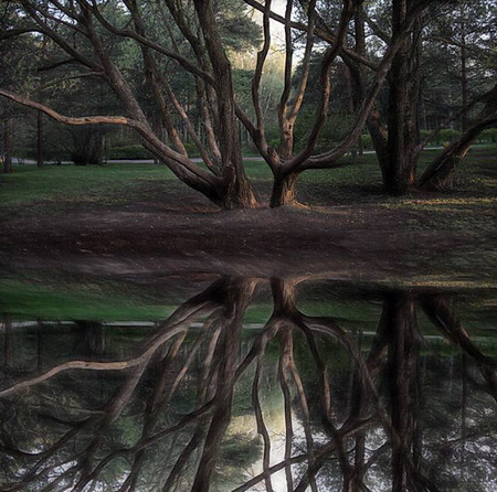 	Reflections-6 - reflections, water, autumn, scene