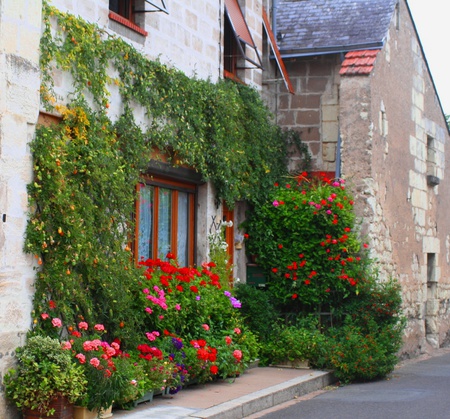 Town House Chinon - house, chinon, flowers, town