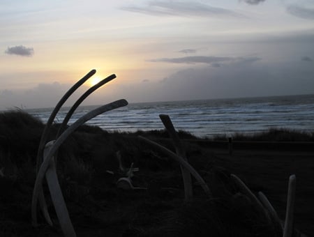 Whale bones on the beach - beach, bones, sunset, autumn