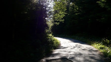 Corner - forest, mountains, road, corner, washington, widescreen