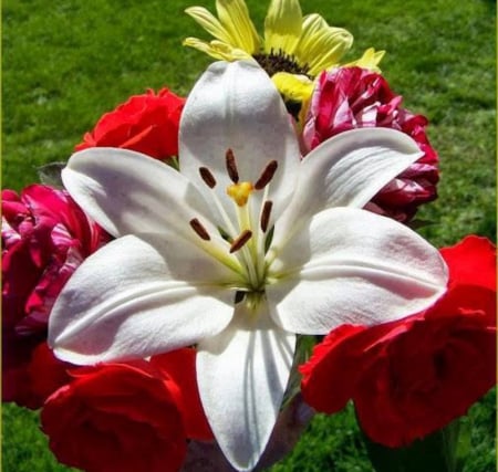 Lovely Bouquet - flowers, roses, nature, macro, bouquet, lily