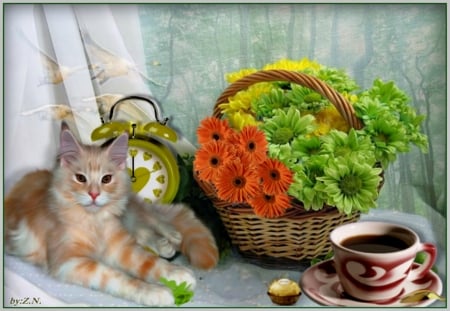 good morning with cat - morning, flouers, coffee, cat