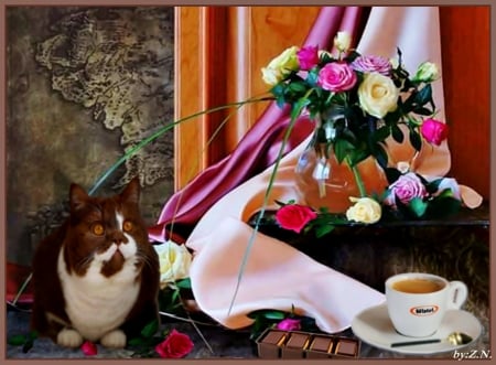 good mornong with cat - dring, morning, cat, coffee