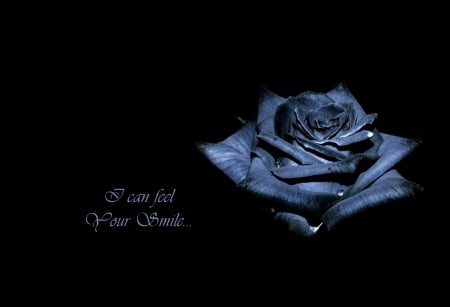 Your Smile - best friend, blue, for you, words, rose