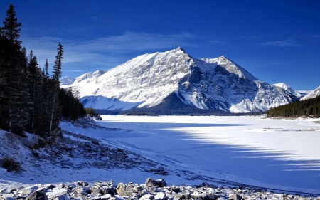 Frozen River - firs, sunshine, mountain, snow