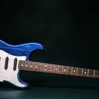 Stratocaster Guitar F