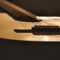 Acoustic Guitar