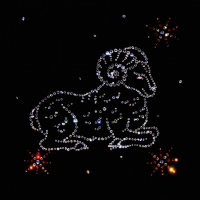 aries