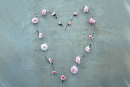 Heart - flowers, flower, pink, heart