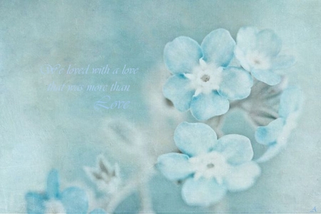 Words - flowers, saying, forget me not, blue