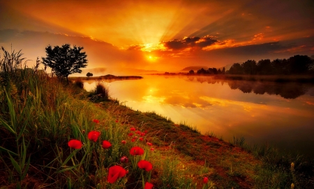 River at sunset - sky, reflection, river, beautiful, fiery, wildflowers, amazing, sunset