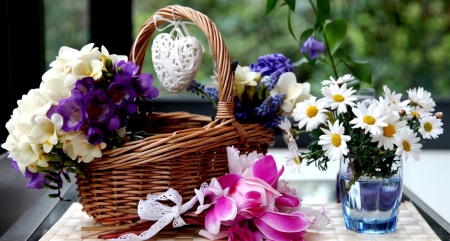 Still Life - flowers, basket, blooms, still life