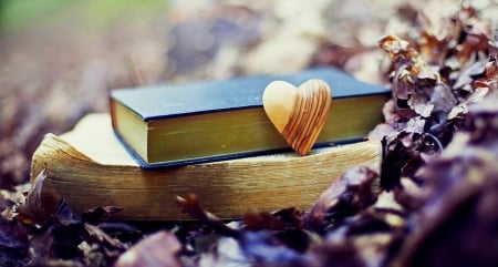 Still Life - books, heart, still life, leaves