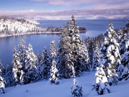 Winter at Lake Tahoe, California - water, california, landscape, snow, firs