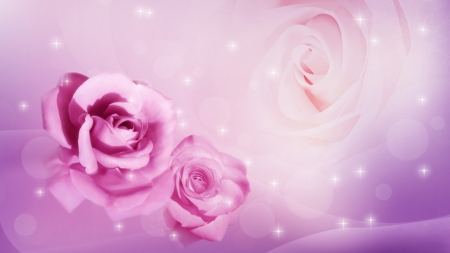 Pink Rose - rose, flower, art, pink