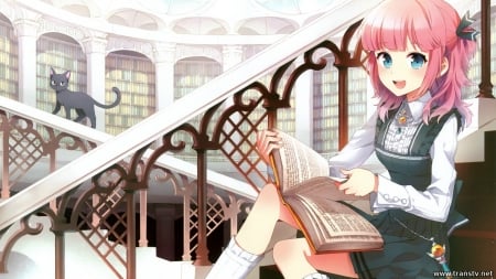 Library - library, girl, cat, anime, books