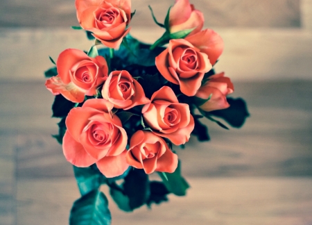 Roses - card, flower, rose, orange, green