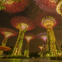 marina bay gardens in singapore at night hdr