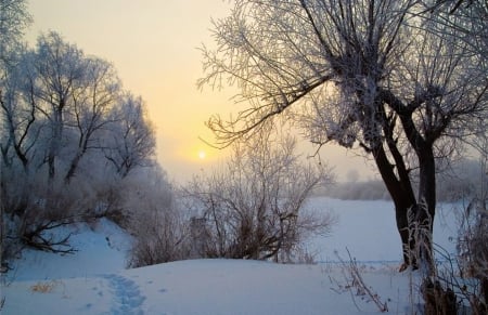 Lovely Winter - snow, white, winter, amazing