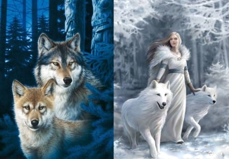 wolfs - wolfs, lady, animals, other