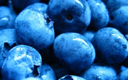 blueberries - berry, blueberries, food, fruit