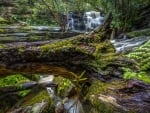 Lower Somersby Falls, NSW, Australia