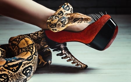 Temptation - stiletto, serpent, shoe, snake, legs, stuff, reptile, red, valentine, woman, temptation