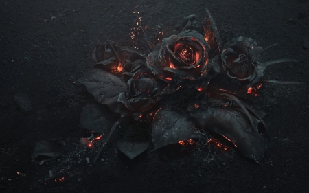 Burning roses - ashes, luminos, orange, black, fire, fantasy, rose, flower