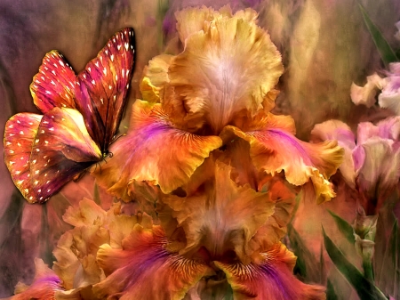 Butterfly and Flowers - pretty, Butterfly, Art, Flowers