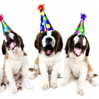 Happy Birthday to You...