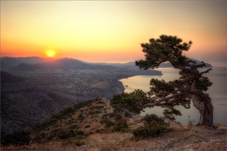 Amazing Sunset - tree, amazing, sunset, mountain