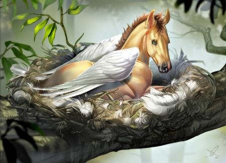 Pegasus nest - branch, wings, fantasy, art, nest, horse, baby, luminos, feather, pegasus, tree, aomori, cute