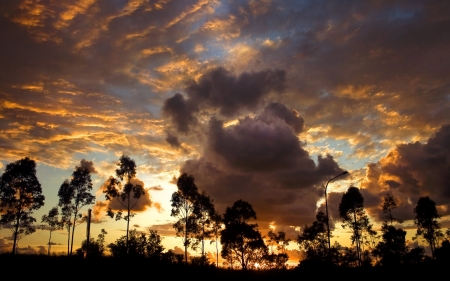 Amazing Sunset - sky, landscape, clouds, trees, sunset, nature