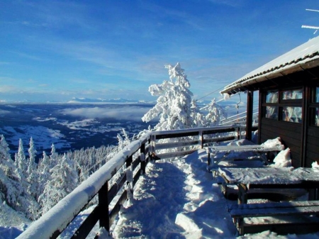 Winter Countryside - fence, trees, cabin, snow, sunshine