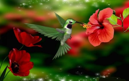 HUMMINGBIRD - Red, Leaves, Petals, Flowers